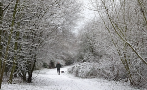 PIC FEATURE: More snow scenes like this are forecast for South Cheshire