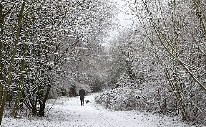 snow picture by jonathan white