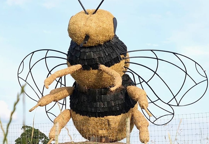 snugburys bee