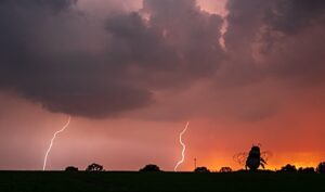 Floods, fires and fallen trees as storm wreaks havoc in Cheshire