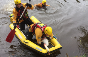 Swan attacked by dog on River Weaver died, RSPCA confirms