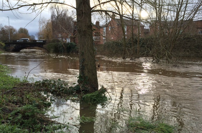 swollen River Weaver floods paths and Mill Island in Nantwich - pic by Jonathan White