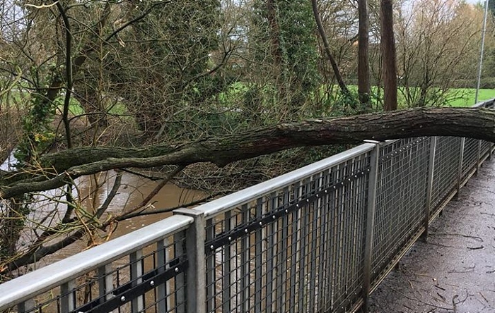 tree down on bridge over river weaver nantwich