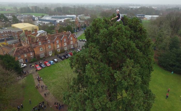 tree top christmas carols at reaseheath college by Twm Brunton