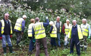 Help needed to clear plant invading banks of River Weaver in Nantwich