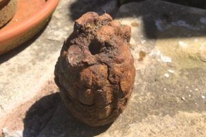 Bomb squad called as Shavington man digs up hand grenade in garden!