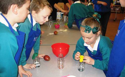 wyche school science week 2